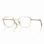 Kovové brýle F0494 vel. 51